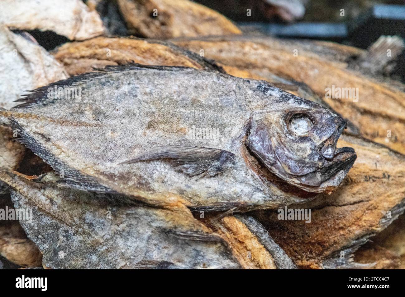 Le poisson séché sur un marché à Victoria, capitale des Seychelles Banque D'Images