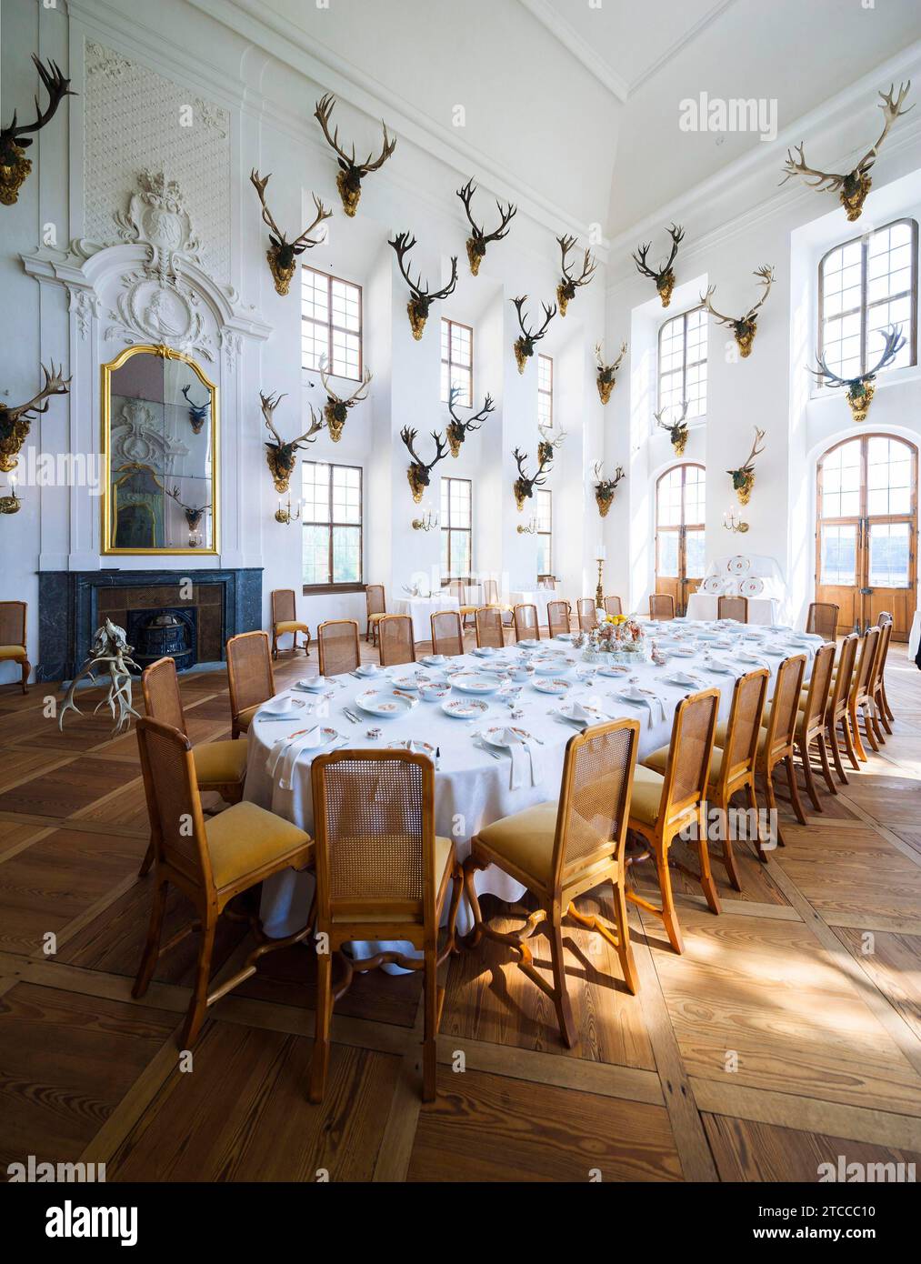 Salle à manger du Palais baroque Moritzburg Banque D'Images