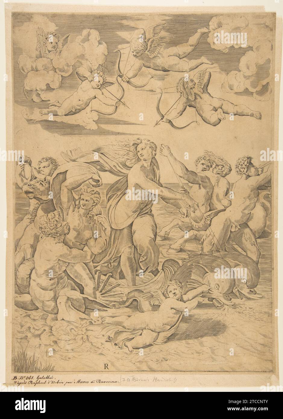 Galatea chevauchant dans une coquille tirée dans l'eau par des dauphins, un cupidon ci-dessous et quatre autres au-dessus, à gauche un triton embrassant une nymphe et derrière eux un homme à cheval soufflant une conque, a droite un personnage soufflant une corne et derrière lui une nymphe roulant sur un centaure 1986 de Marco Dente Banque D'Images