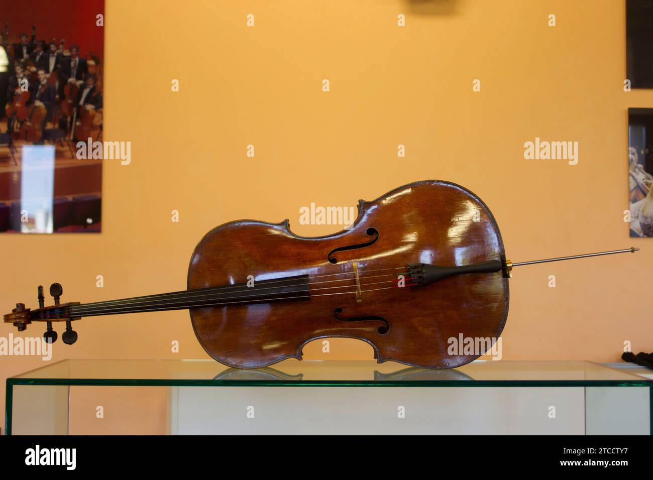 05/17/2014. Pablo Ferrández avec une photo de violoncelle Stradivarius, Isabel Permuy ARCHDC. Crédit : Album / Archivo ABC / Isabel B Permuy Banque D'Images