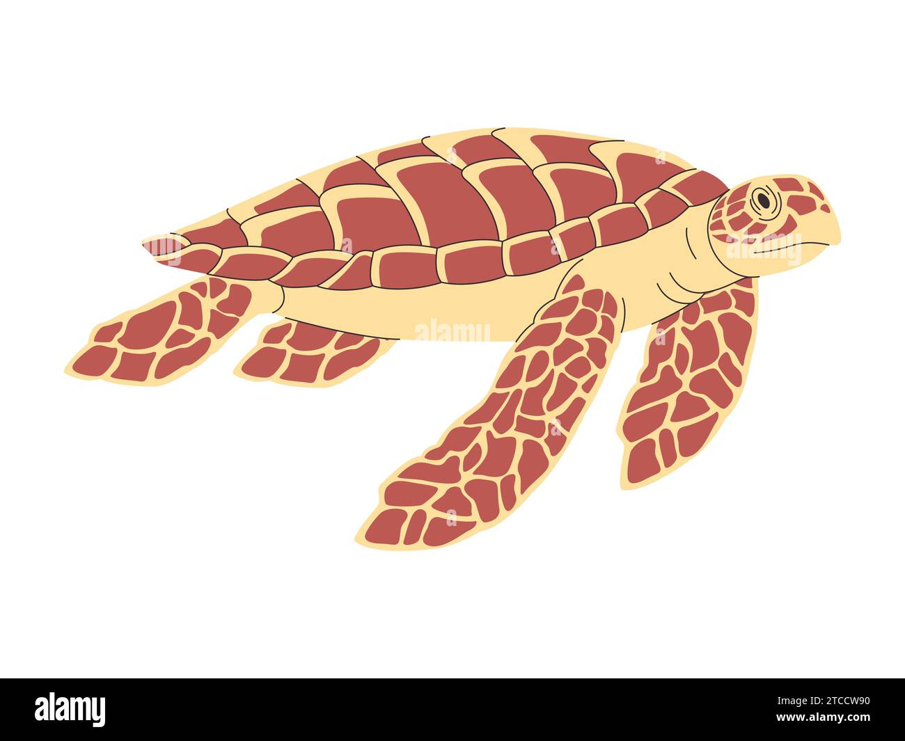 couleur brune tortue hawksbill nature sauvage animal de l'océan plongée lente nageant sous l'eau avec coquille Illustration de Vecteur