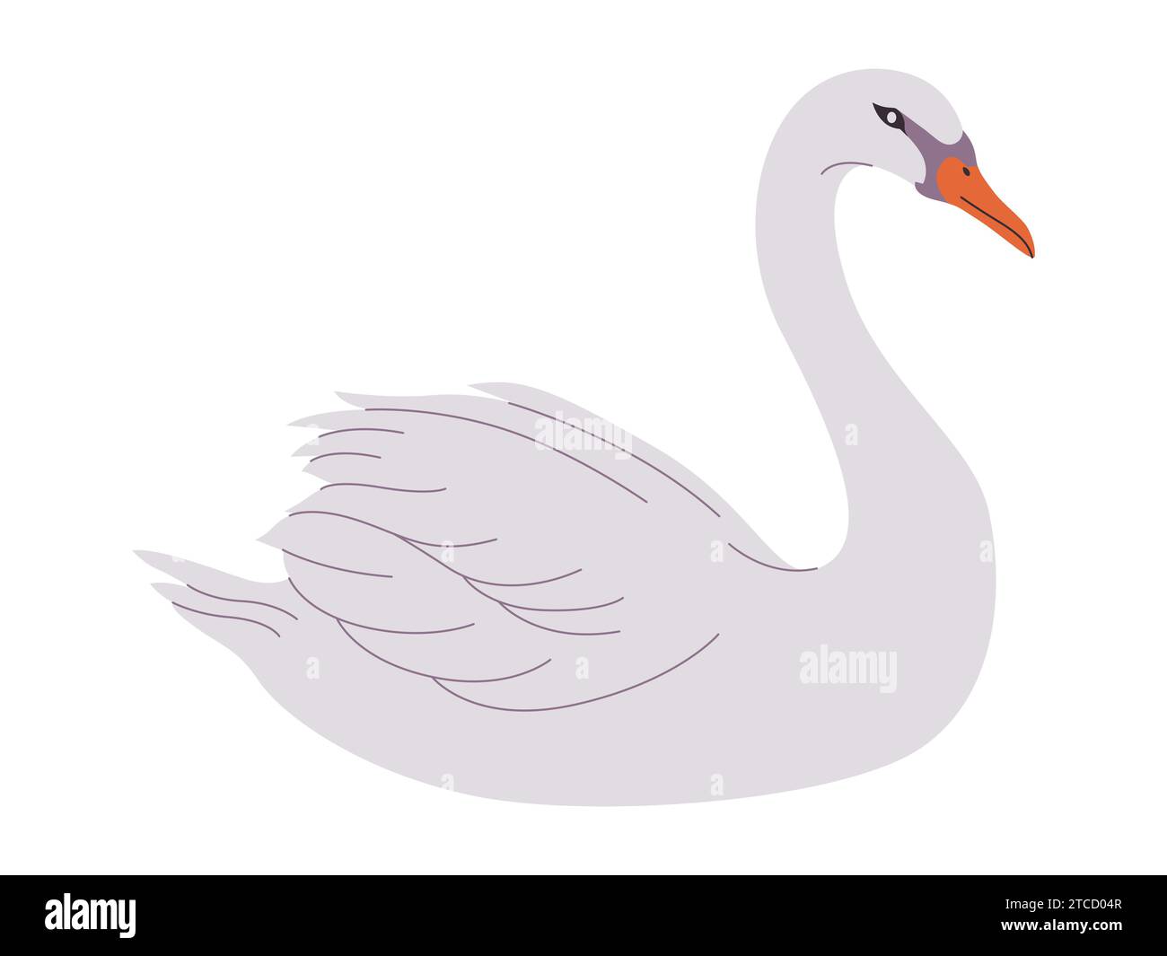 couleur blanche muette oiseau de la nature sauvage animal ont bec et long cou avec belle plume Illustration de Vecteur