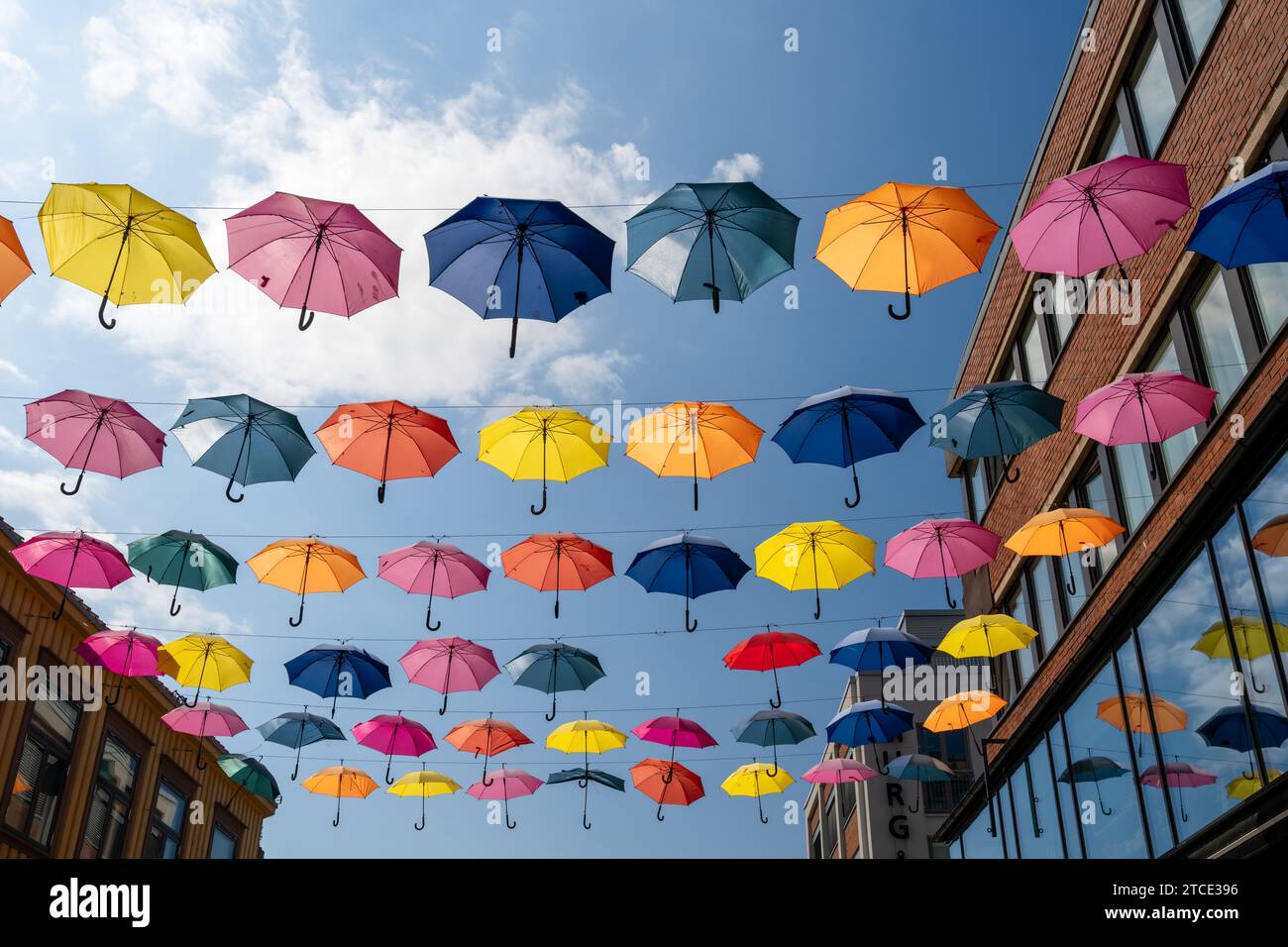 Parapluies colorés décorant une rue à Trondheim Banque D'Images