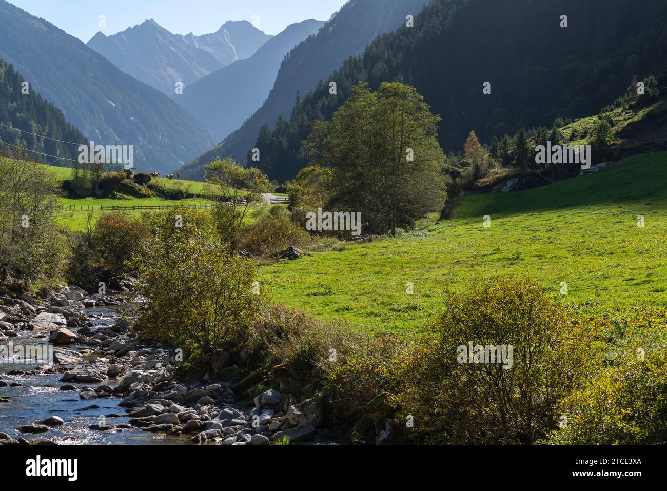 Brandberg communauté, Vallée de Zillergrund, Alpes de Zillertal, Tyrol, Autriche Banque D'Images