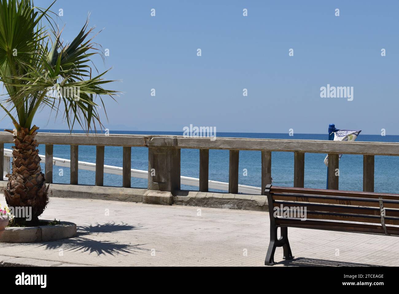 Promenade en béton avec banc et petit palmier Banque D'Images