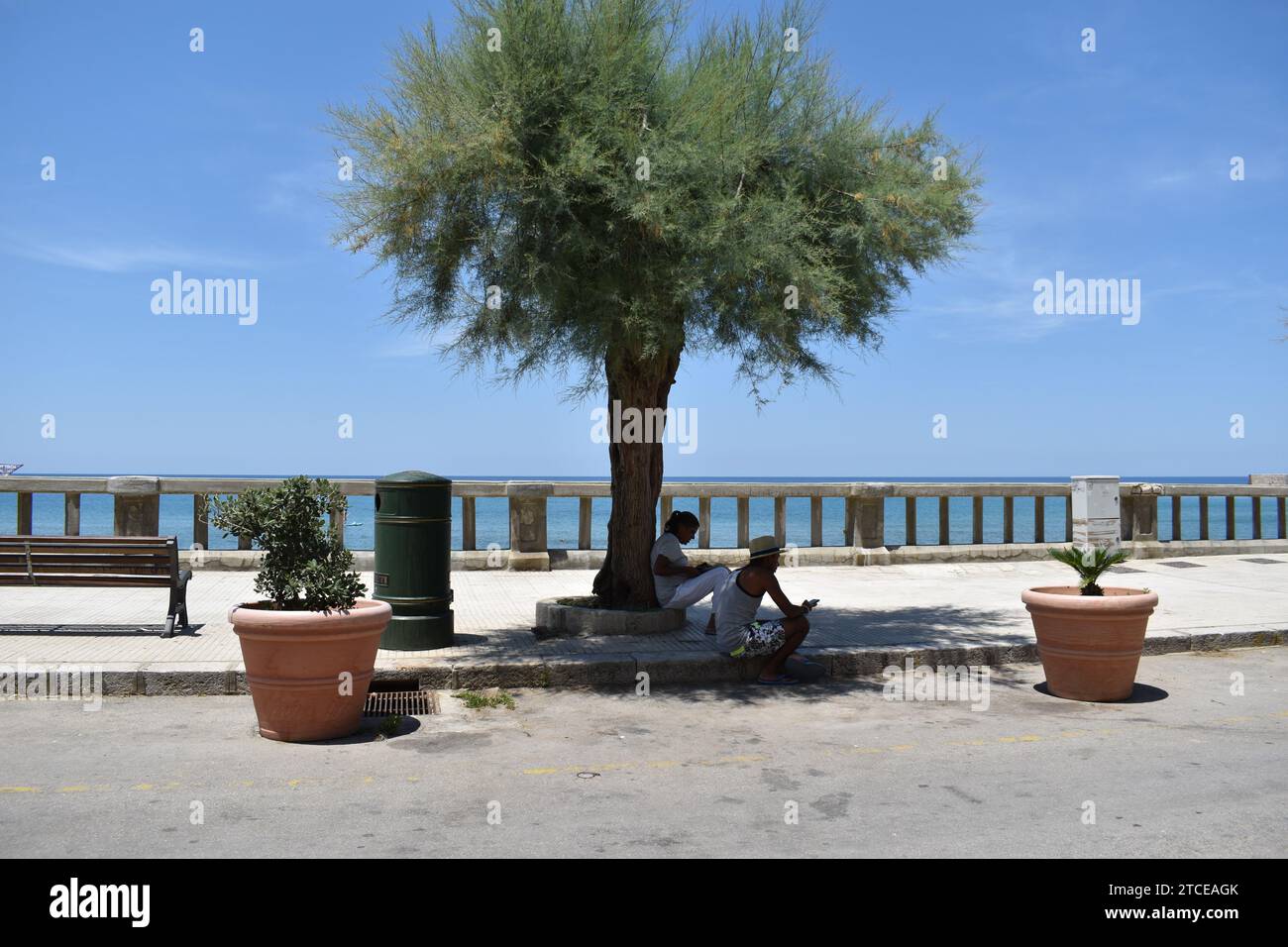 Deux personnes assises à l'ombre d'un arbre sur la promenade dans la ville côtière sicilienne de Cefalù Banque D'Images