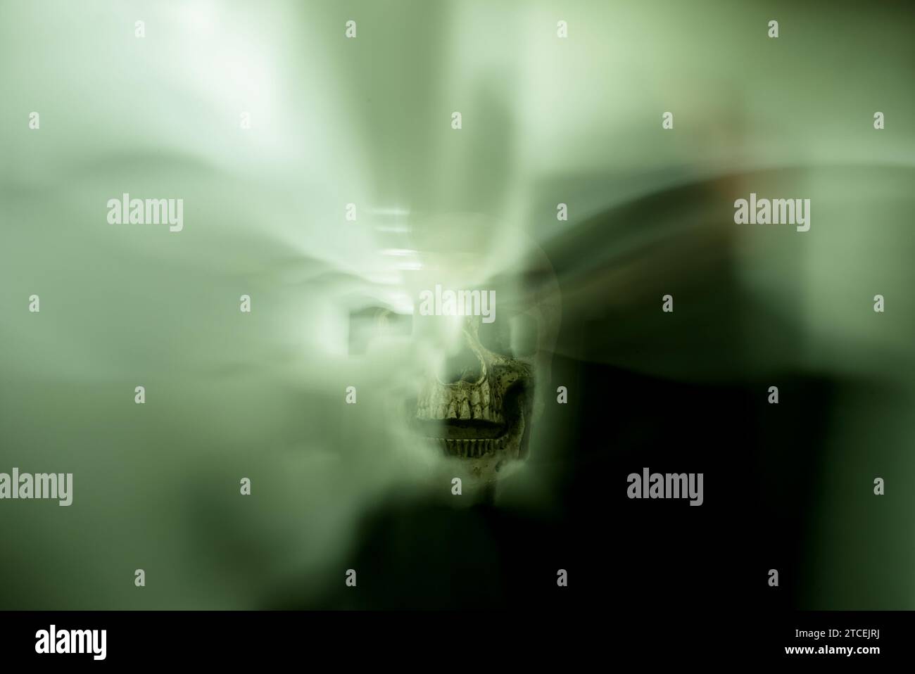 Une composition envoûtante avec un crâne au centre, entouré de brumes lumineuses éthérées vertes et blanches. Le schéma de couleurs blanc-vert contre Banque D'Images