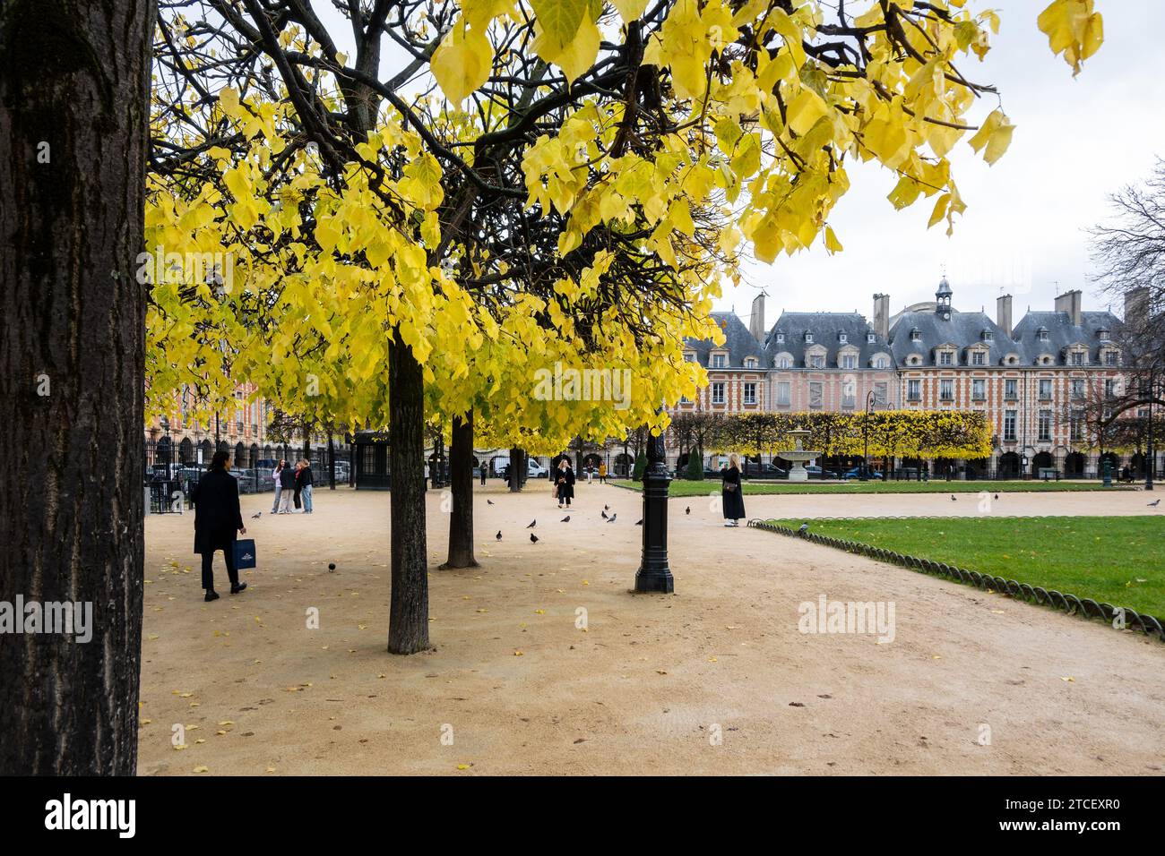 Paris, France, place des Vosges dans le marais à Paris pendant l'hiver, éditorial seulement. Banque D'Images