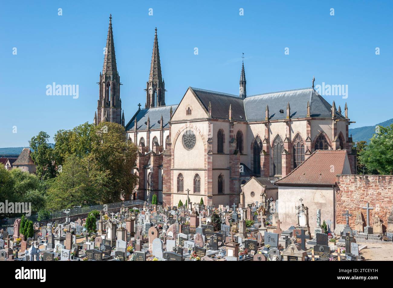 Vue de l'église des Saints Pierre et Paul, Obernai, Alsace, France, Europe Banque D'Images