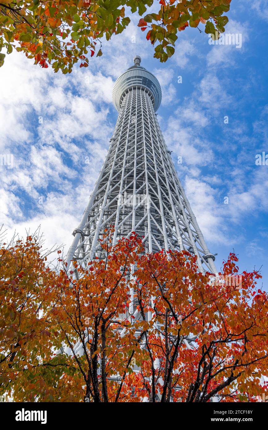 Tokyo Sky Tree vu d'en dessous Banque D'Images