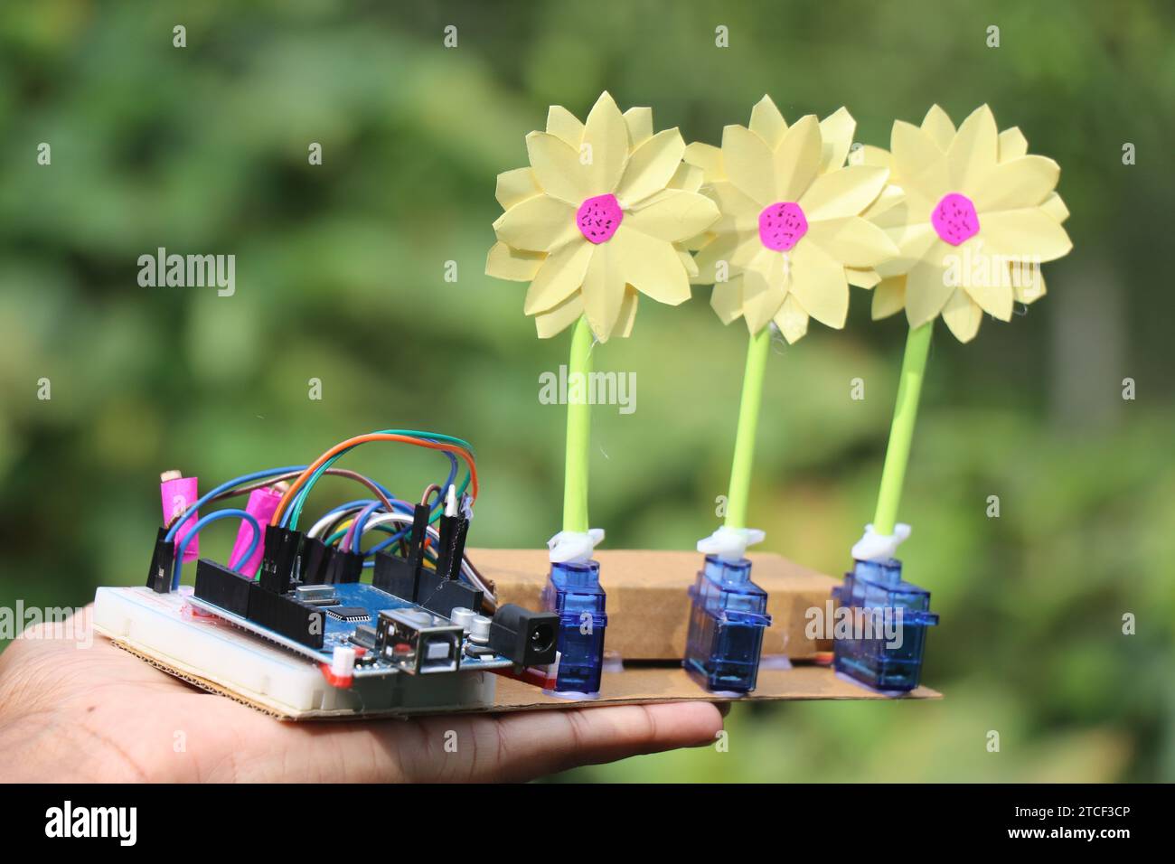 Projets de microcontrôleur programmables. Circuit électronique sur une petite carte d'expérimentation connectant des micro servos et la carte de commande pour faire courir des fleurs en papier Banque D'Images