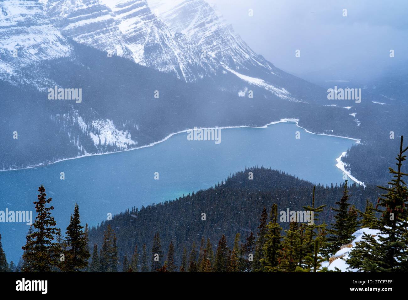 Lac Peyto en hiver avec la neige tombant Banque D'Images