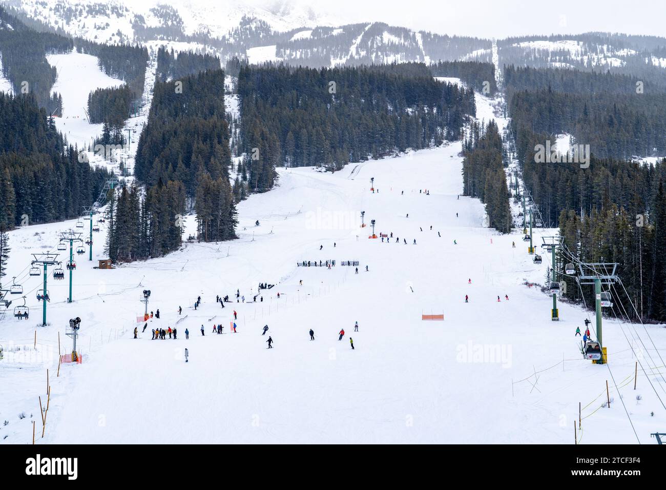 Large plan de skieurs sur les pistes de Lake Louise ski Resort Banque D'Images