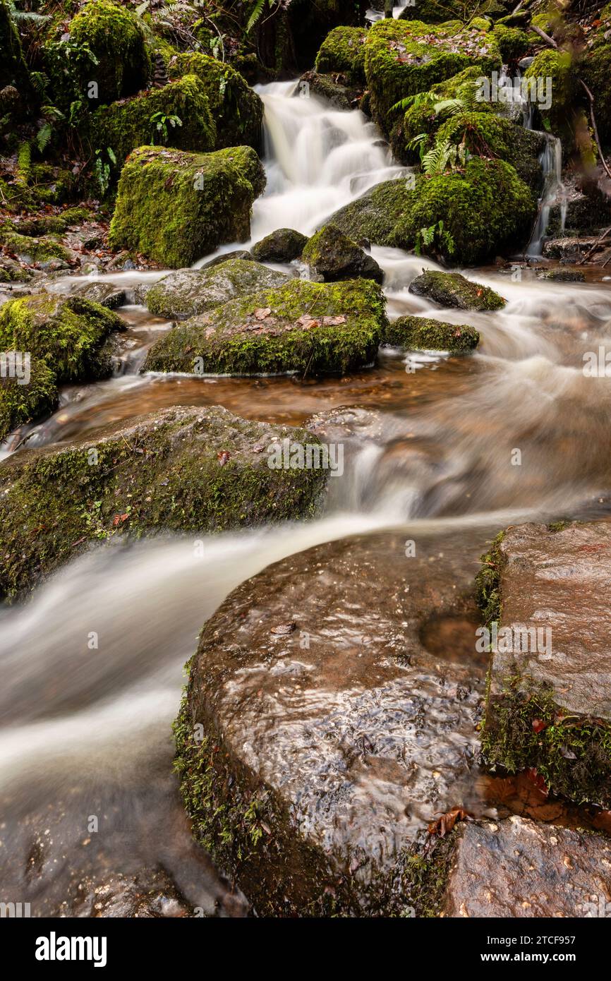 Cleddon Shoots ou Waterfall, Wye Valley AONB, Monmouthshire, pays de Galles Banque D'Images