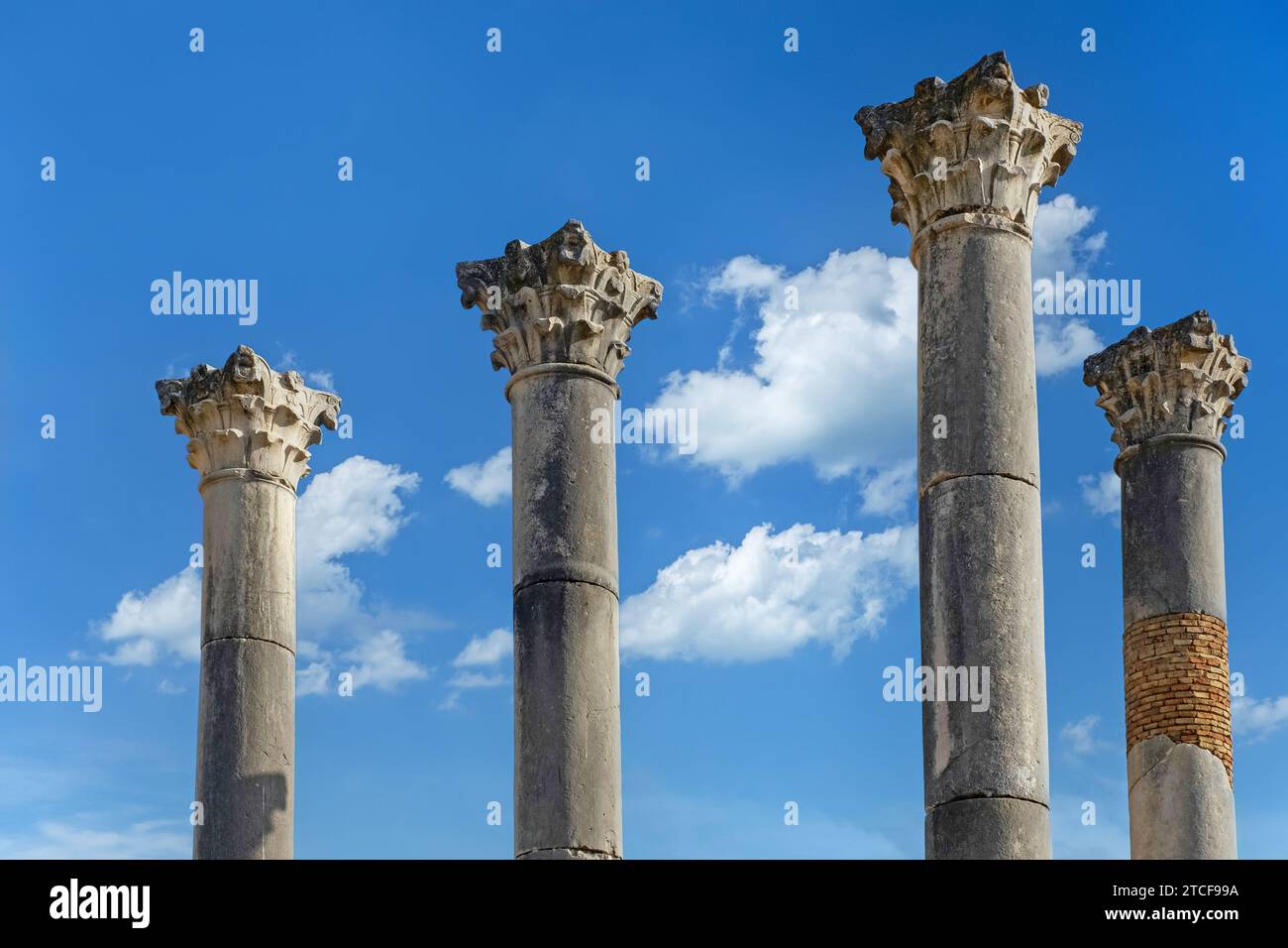 Colonnes corinthiennes du temple romain Capitoline à Volubilis, ville berbère-romaine excavée de l'ancienne Mauretanie près de Meknès, Fès-Meknès, Maroc Banque D'Images