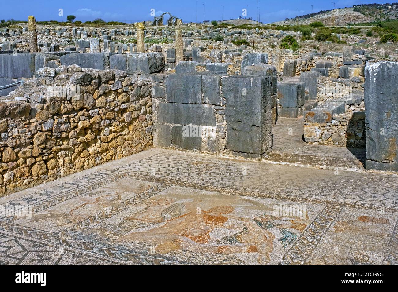 Mosaïque romaine montrant l'enlèvement de Hylas dans la Maison de Vénus à Volubilis, ville berbère-romaine de l'ancienne Maurétanie près de Meknès, Fès-Meknès, Maroc Banque D'Images