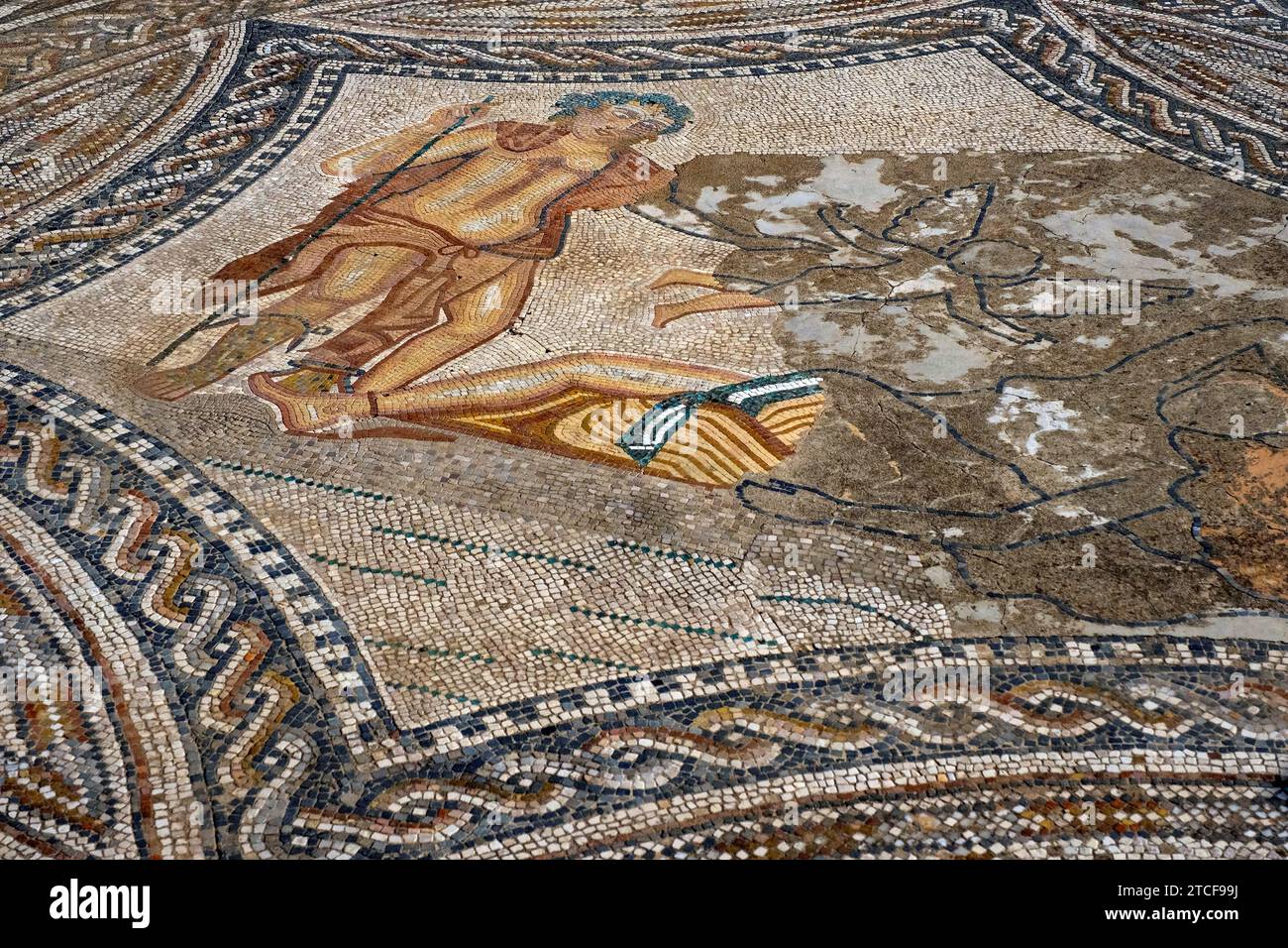 Mosaïque romaine de Bacchus dans la Maison du Chevalier à Volubilis, ville berbère-romaine excavée de l'ancienne Mauretanie près de Meknès, Fès-Meknès, Maroc Banque D'Images