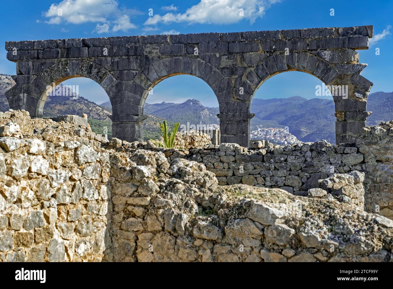 RIF montagnes vues à travers les arches des ruines des bains du Nord à Volubilis, ville berbère-romaine de l'ancienne Mauretanie près de Meknès, Fès-Meknès, Maroc Banque D'Images