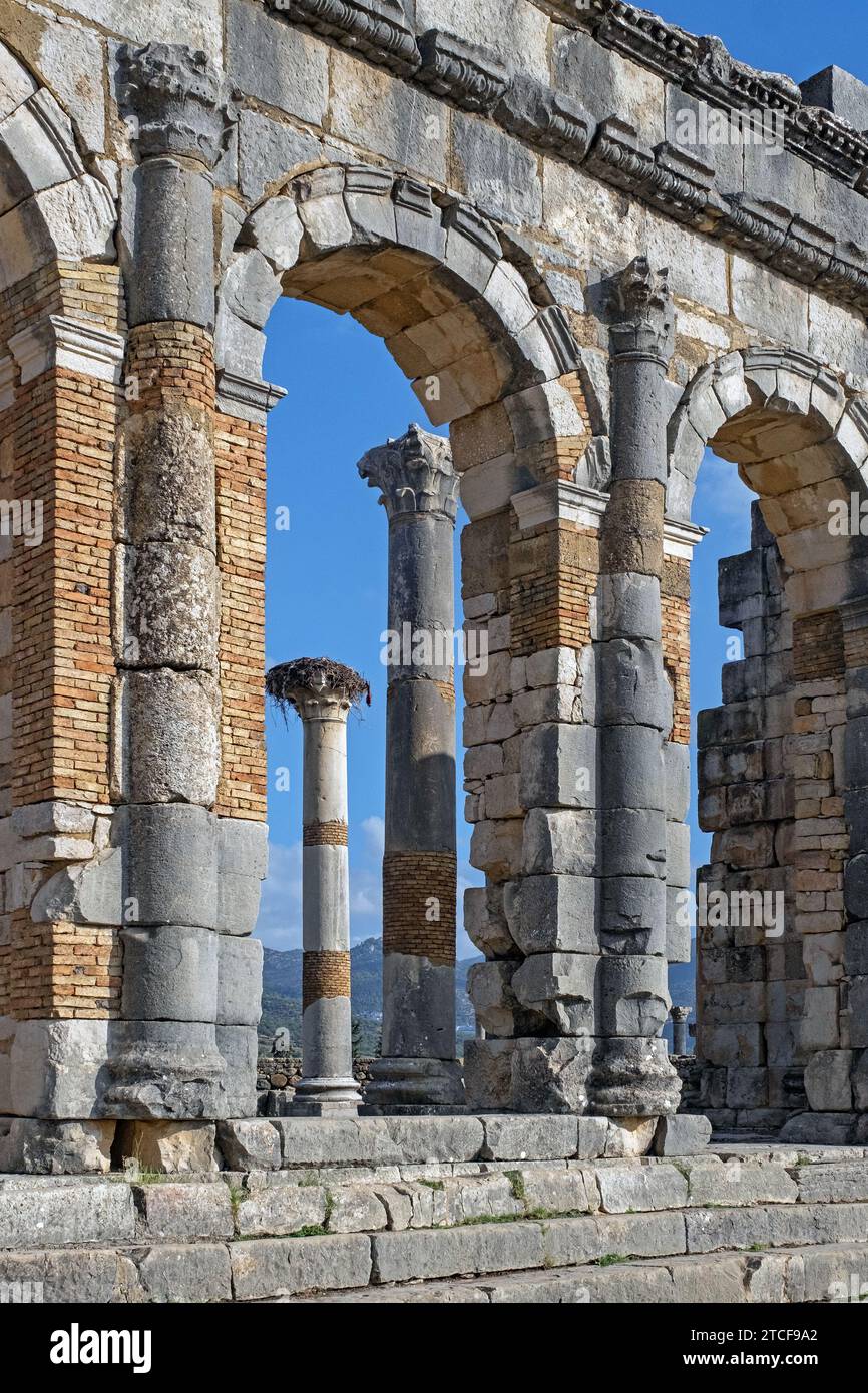 Mur extérieur voûté de basilique face à des colonnes à Volubilis, ville berbère-romaine de l'ancienne Mauretanie près de Meknès, Fès-Meknès, Maroc Banque D'Images