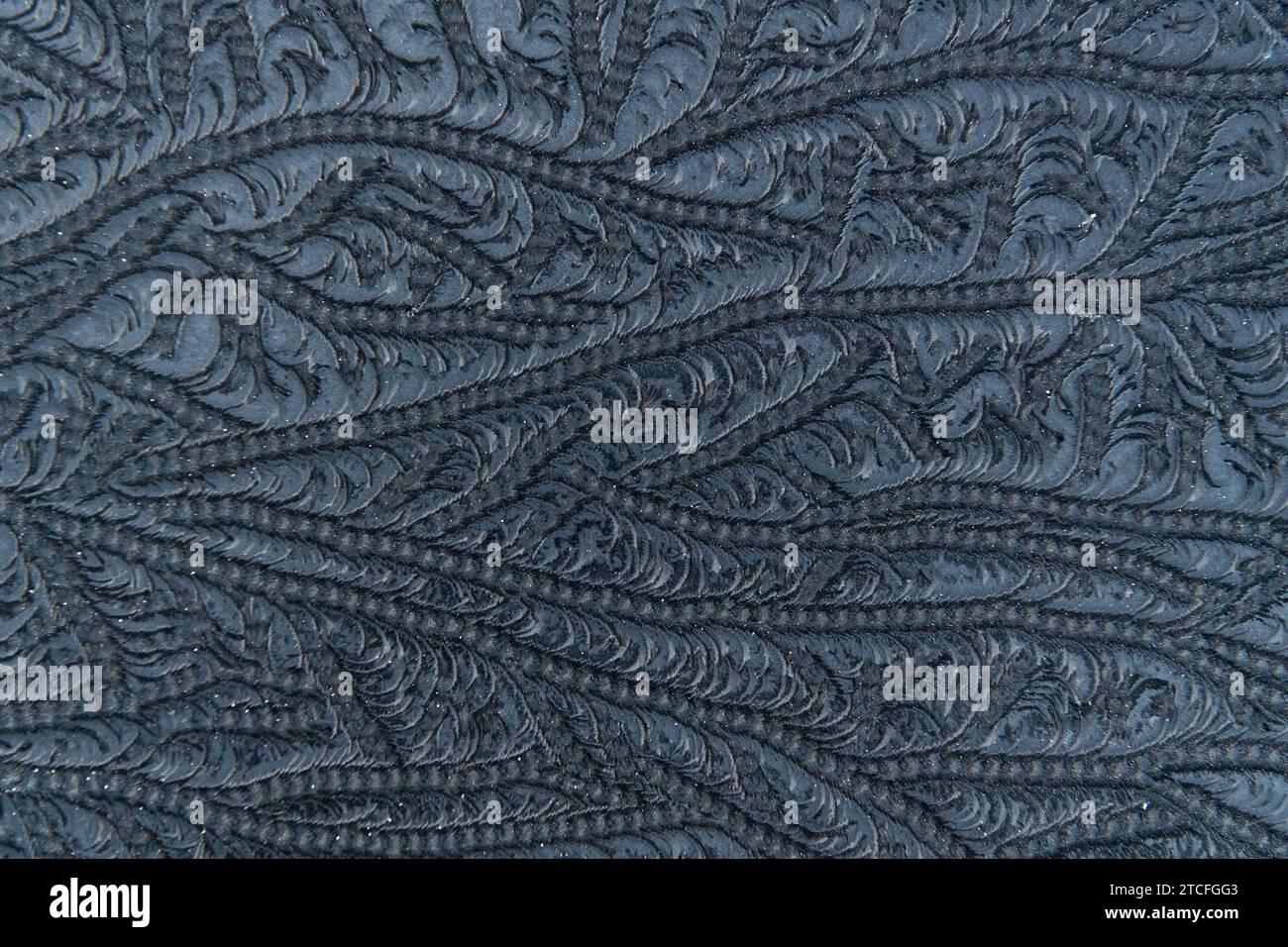 Motifs de givre sur le pare-brise de la voiture après une nuit froide glaciale. Yorkshire, Royaume-Uni. Banque D'Images