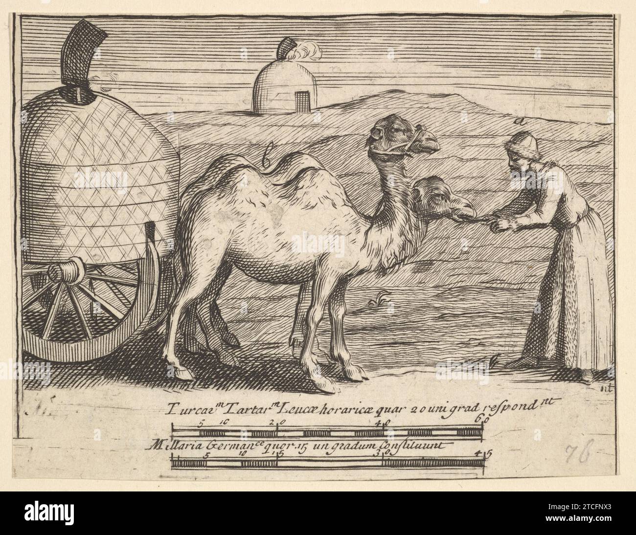 Deux dromadaires (Aubry de la Mottraye's Travels through Europe, Asia and into part of Africa..., Londres, 1724, planche 314) 1932 par William Hogarth Banque D'Images