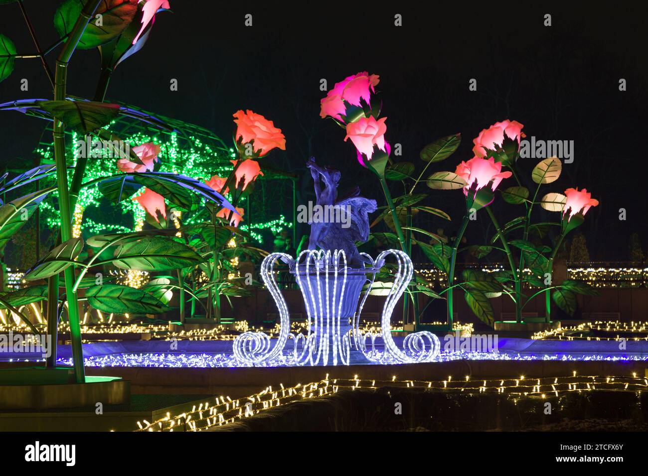 Varsovie, Pologne - 2 décembre 2023 : jardin de roses au jardin royal de lumière Wilanow, Varsovie, Pologne. Banque D'Images