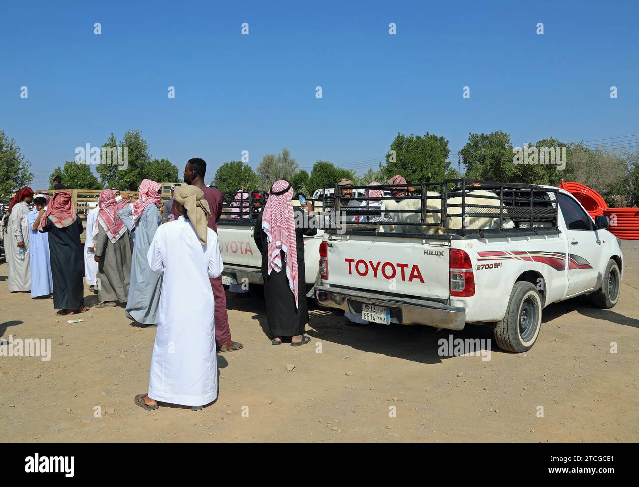 Négociants en bétail à une vente aux enchères en bord de route en Arabie Saoudite Banque D'Images