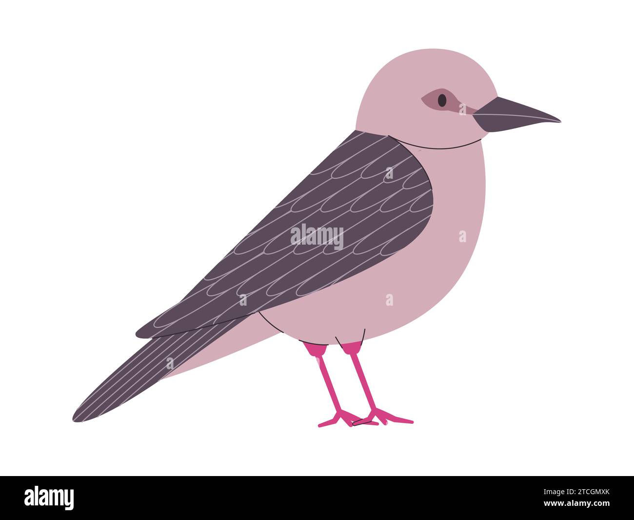 couleur grise petit oiseau grenade colombe espèces menacées jolie nature mignonne animal faune créature Illustration de Vecteur