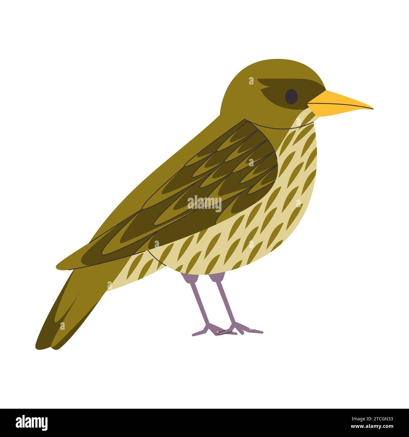 couleur verte petit oiseau palmchat espèce jolie nature mignonne animal faune créature Illustration de Vecteur