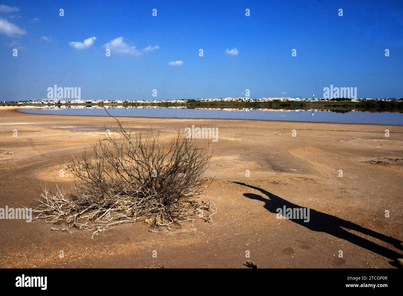 Alicante 10/10/2007 Salinas de la Mata et Torrevieja Park. Photo Juan Carlos Solerl ARCHDC inconnue. Crédit : Album / Archivo ABC / Juan Carlos Soler Banque D'Images