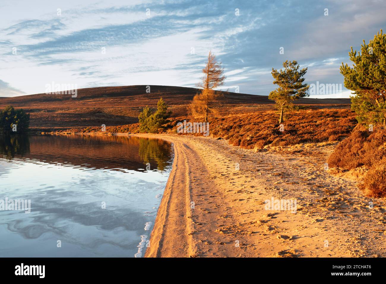 Lumière dorée du coucher de soleil autour de Lochindorb à la fin de l'automne. Highlands, Écosse Banque D'Images