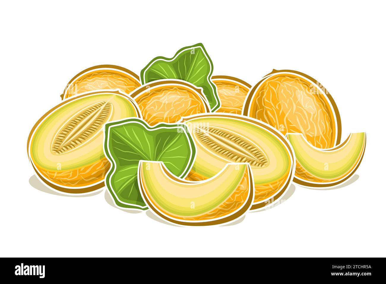 Logo vectoriel pour Melon, affiche horizontale décorative avec illustration de la composition de melon mûr avec des feuilles vertes, dessin animé imprimé fruité avec ch Illustration de Vecteur