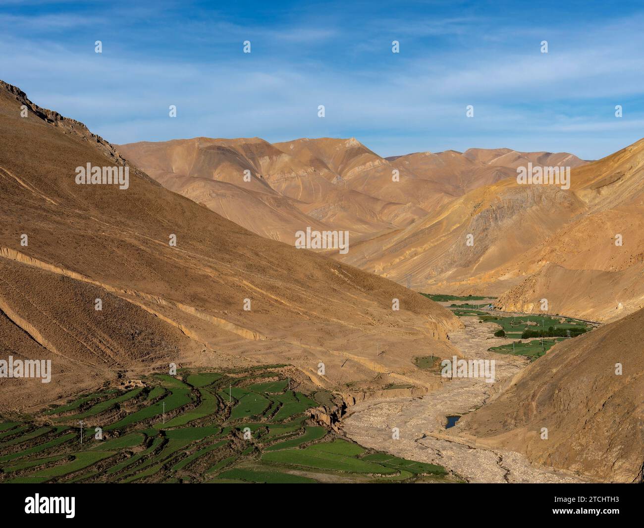 Terrasses vertes, culture du riz et agriculture dans les hauts plateaux du Tibet, Chine Banque D'Images