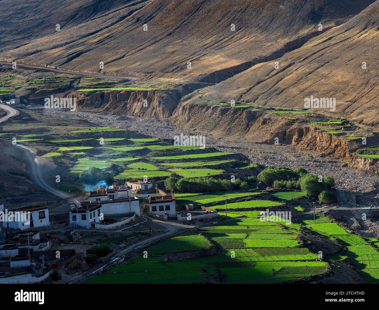 Village entre terrasses verdoyantes, culture du riz et agriculture dans les hauts plateaux du Tibet, Chine Banque D'Images