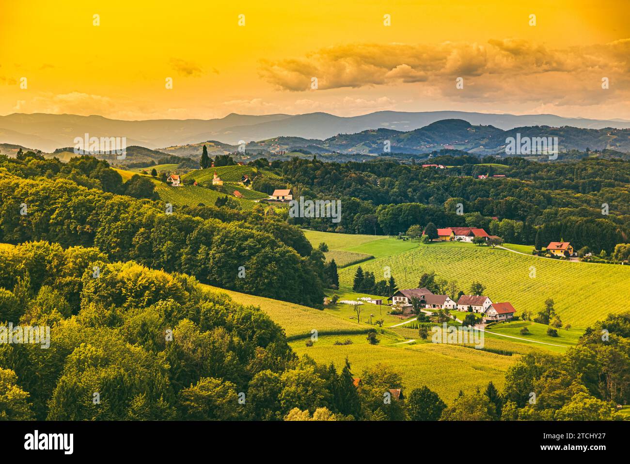 Paysage viticole à South Styrian Wine Road en Autriche. Célèbre Toscane comme lieu touristique pour les amateurs de vin Banque D'Images