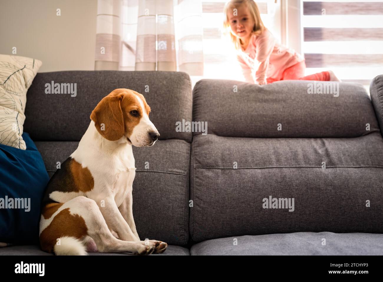 Chien Beagle avec une fille de 2 ans sur un canapé. Fond lumineux Banque D'Images