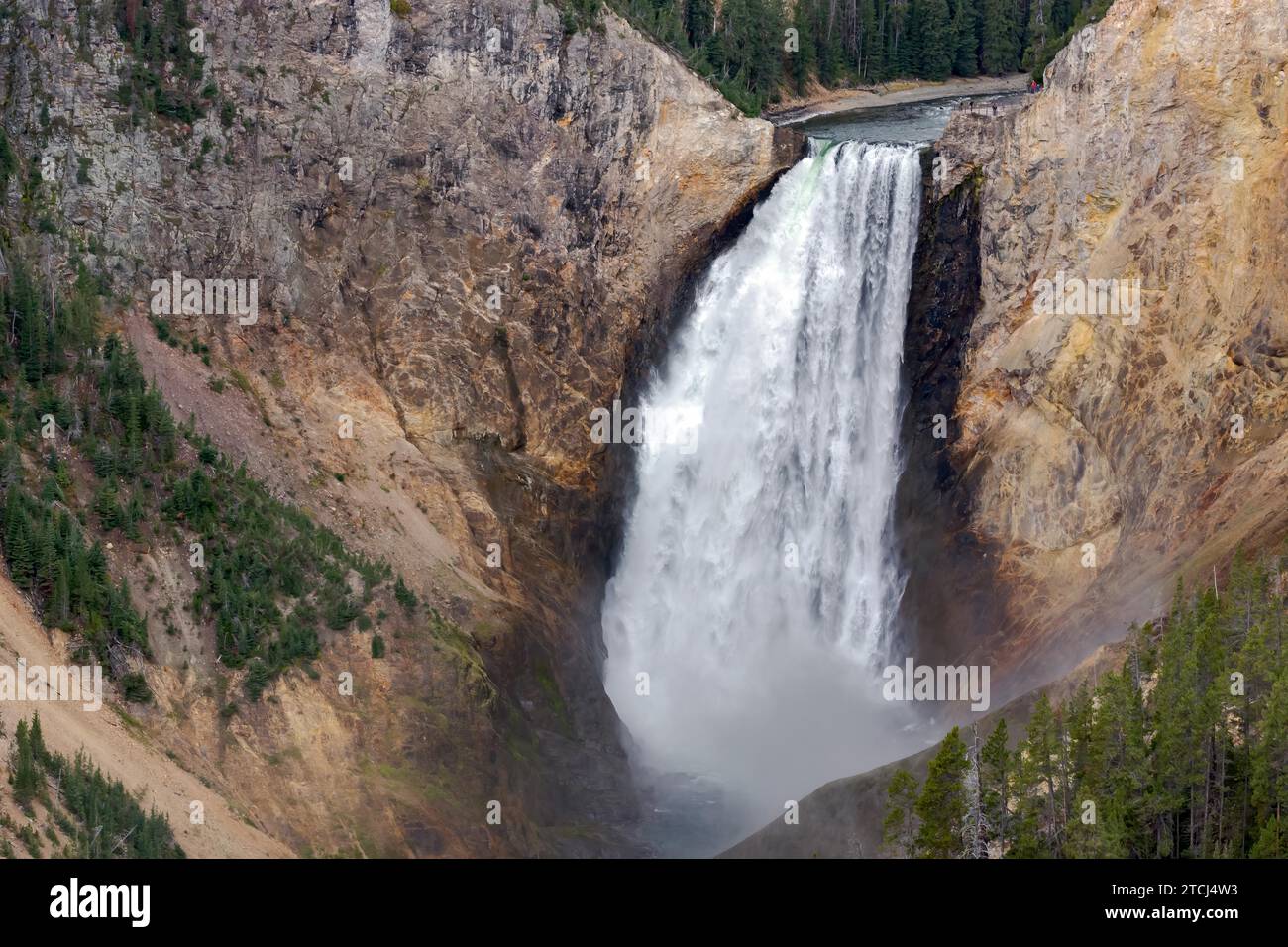 Yellowstone inférieur tombe dans le Parc National de Yellowstone Banque D'Images