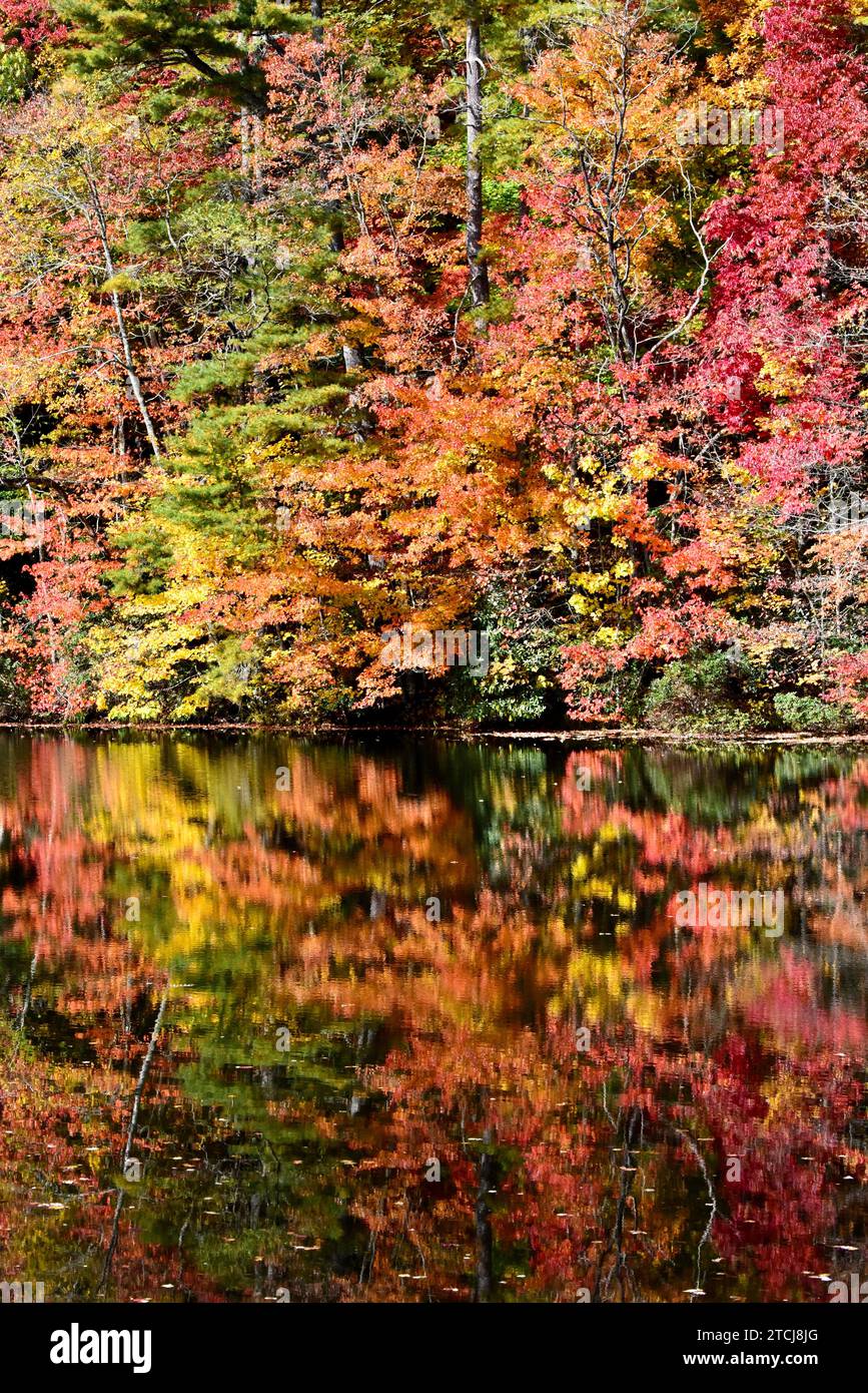 Une vue panoramique des arbres d'automne sur le lac Fairfield, dans les montagnes de l'ouest de la Caroline du Nord Banque D'Images