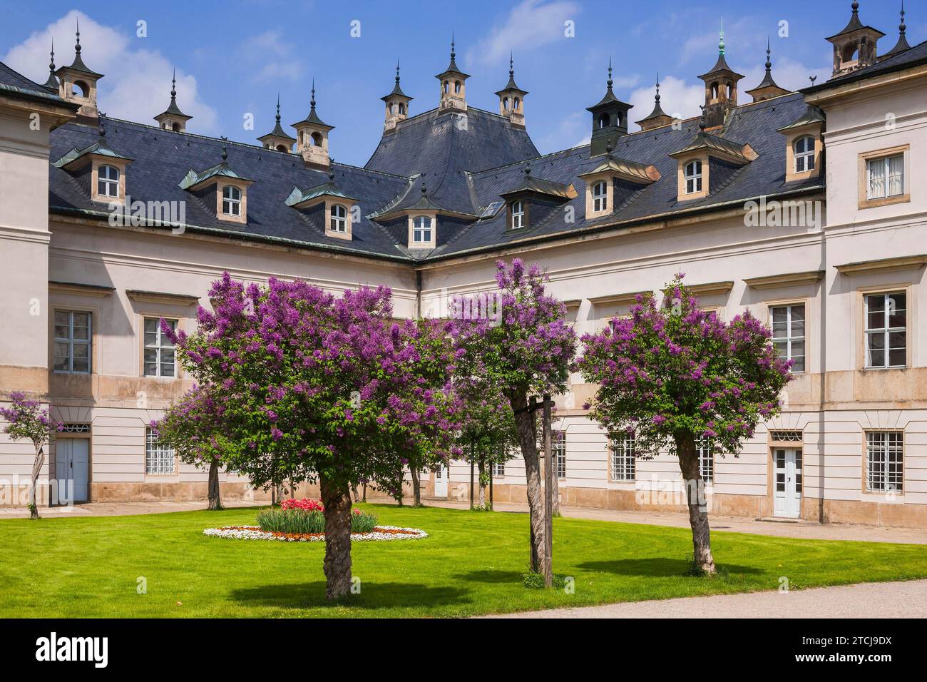Parc du palais de Pillnitz au printemps, cour Lilas Banque D'Images