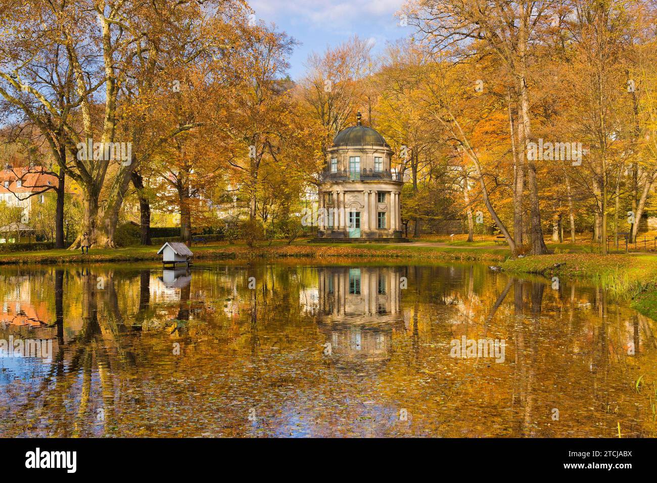 Jardin anglais du parc du palais de Pillnitz Banque D'Images