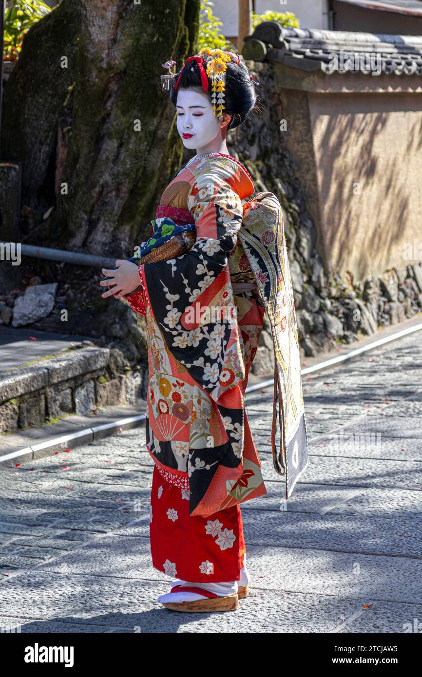 KYOTO/JAPON - 26 novembre 2023:Maiko marche dans les rues de Kyoto Banque D'Images