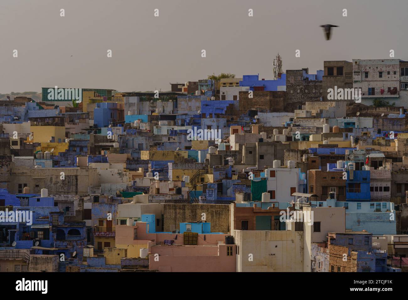 Vue sur la ville bleue de Jodhpur Banque D'Images