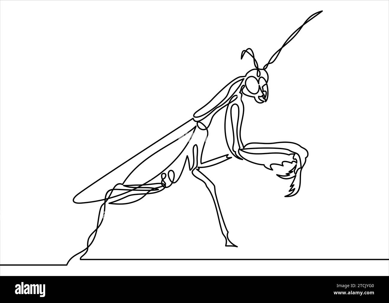 Mantis icon-Continuous line drawing.Element dans le style tendance. Illustration de Vecteur