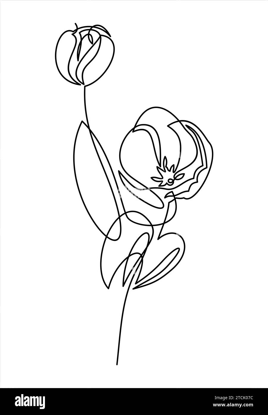 Dessin d'une ligne tulipe. Fleur en ligne continue. Illustration de Vecteur