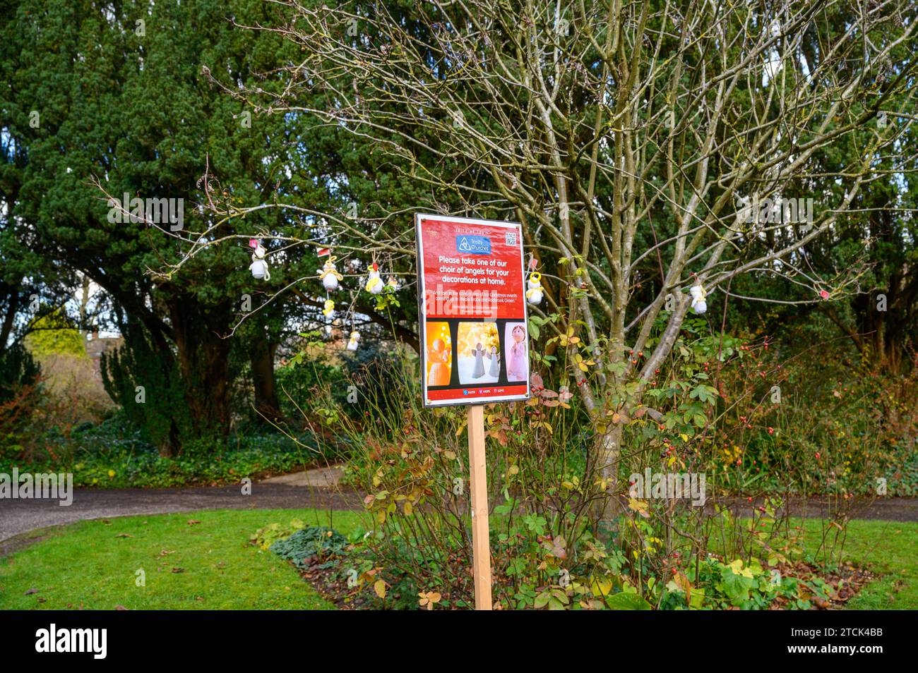 Don d'anges tricotés dans un arbre à l'extérieur d'une église offert gratuitement aux passants. Fait partie d'une initiative des Églises de la Trinité dans le Shropshire. Banque D'Images