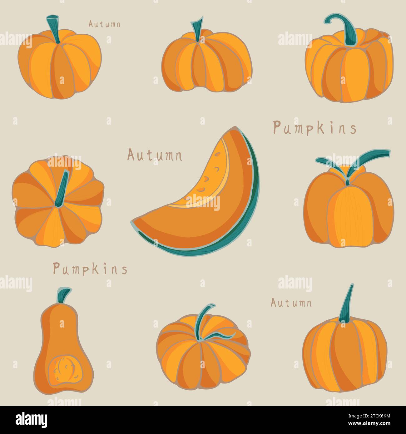 Ensemble d'autocollants de citrouille. Pack d'autocollants d'automne avec des citrouilles oranges de différentes formes Illustration de Vecteur