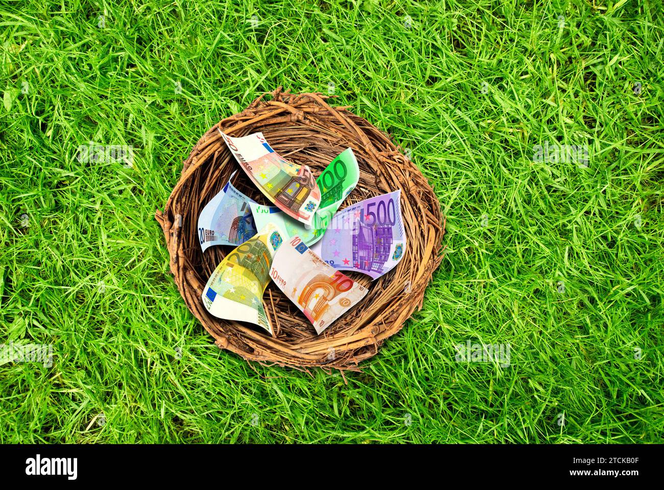 nid d'oiseau avec de l'argent à l'intérieur Banque D'Images
