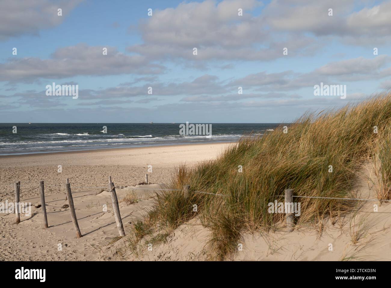 Dunes et plage à la mer du Nord sur l'île de Texel. Banque D'Images