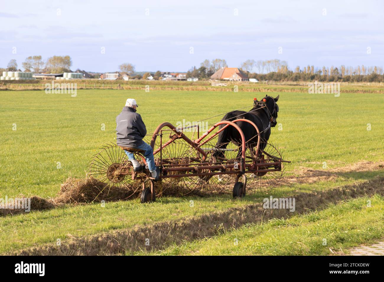 Farmer travaille dans son champ avec un tourneur de foin à l'ancienne, tiré par un cheval, sur l'île néerlandaise de Texel Banque D'Images