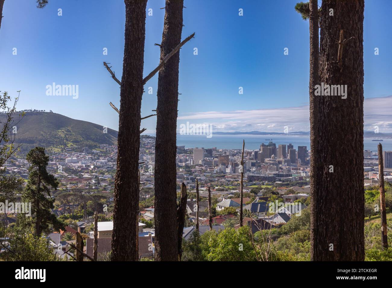 Vue sur le centre-ville du Cap et Table Bay depuis un parc au pied de la montagne de la Table. Banque D'Images